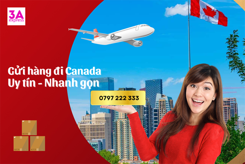 Công ty vận chuyển hàng đi canada uy tín, chuyên nghiệp