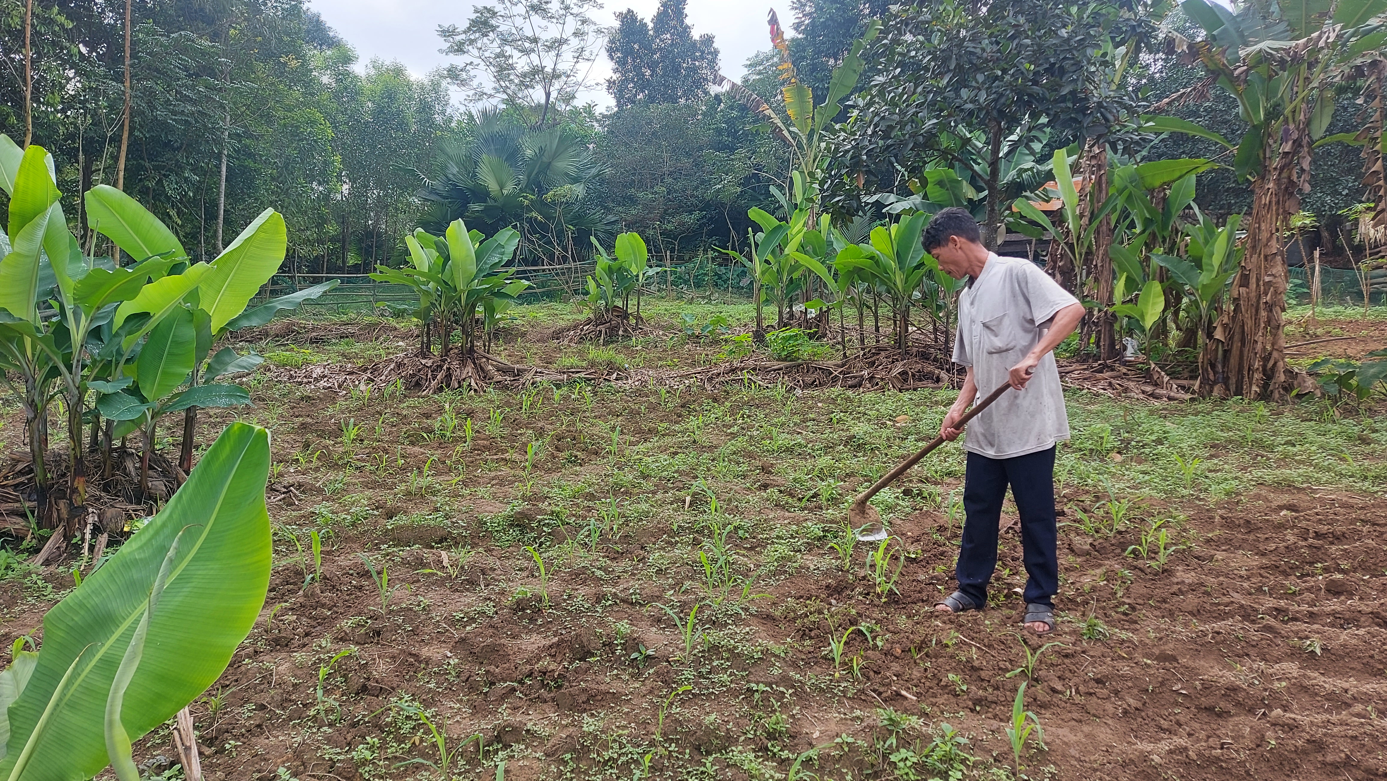 Chuyện anh Hồ Phình nêu gương ở bản Kè