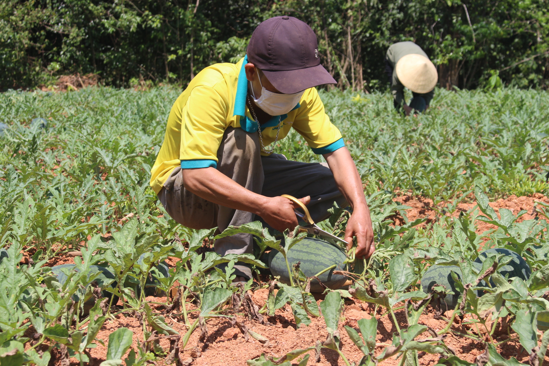 Phát huy vai trò lãnh đạo của Đảng trong phát triển kinh tế