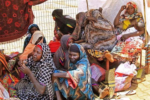 LHQ: Gần 4 triệu trẻ em và phụ nữ ở Sudan bị suy dinh dưỡng cấp tính