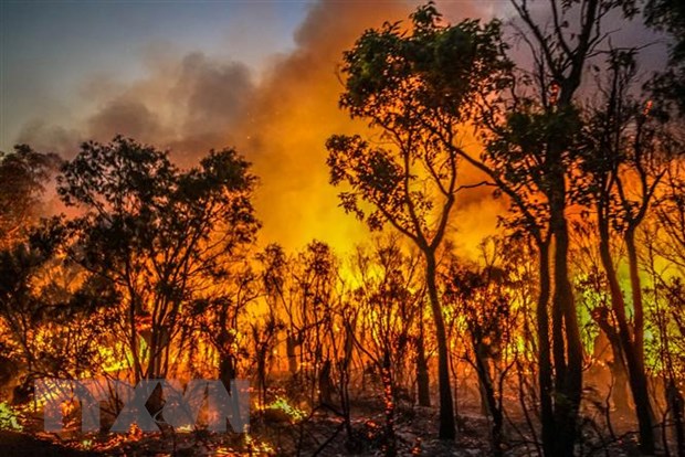 Cháy rừng và ô nhiễm không khí nghiêm trọng chưa từng có tại Lào