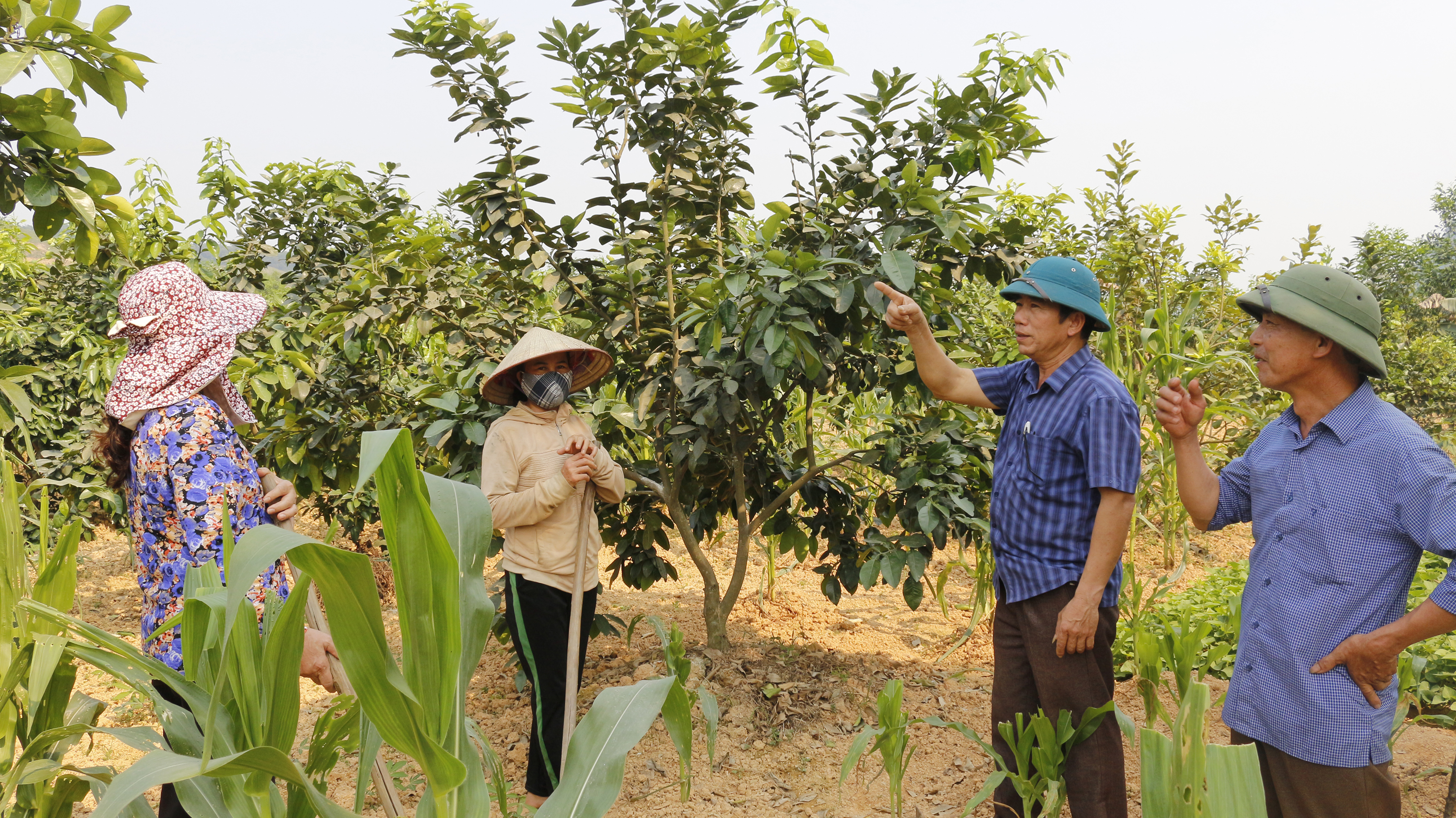 Tuyên Hóa: Khi bí thư chi bộ kiêm trưởng thôn