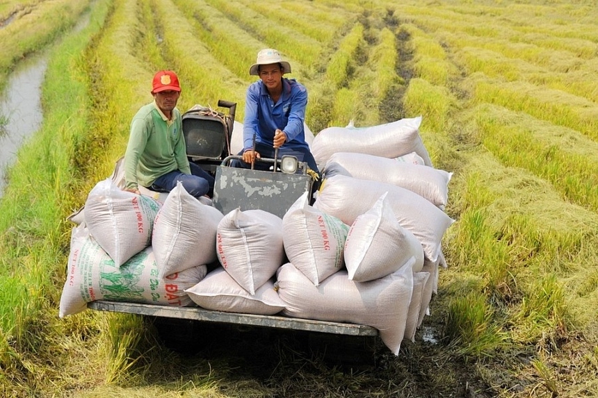 Tiếp tục đổi mới, phát triển và nâng cao hiệu quả kinh tế tập thể trong giai đoạn mới