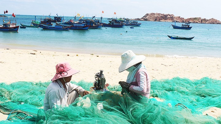 "Ðỏ mắt" tìm bạn thuyền ra khơi