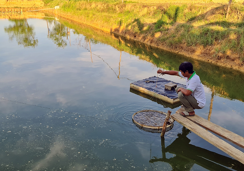 Quảng Ninh: Sản lượng khai thác và nuôi trồng thuỷ sản đạt trên 1.100 tấn