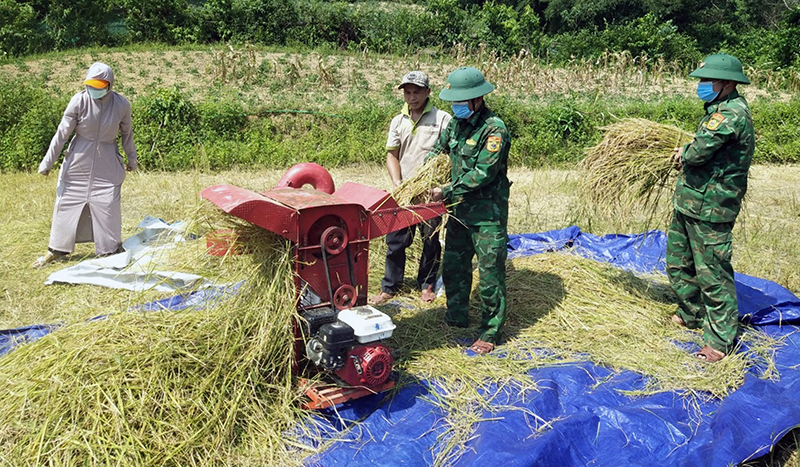 Mùa vàng ở Cổ Tràng