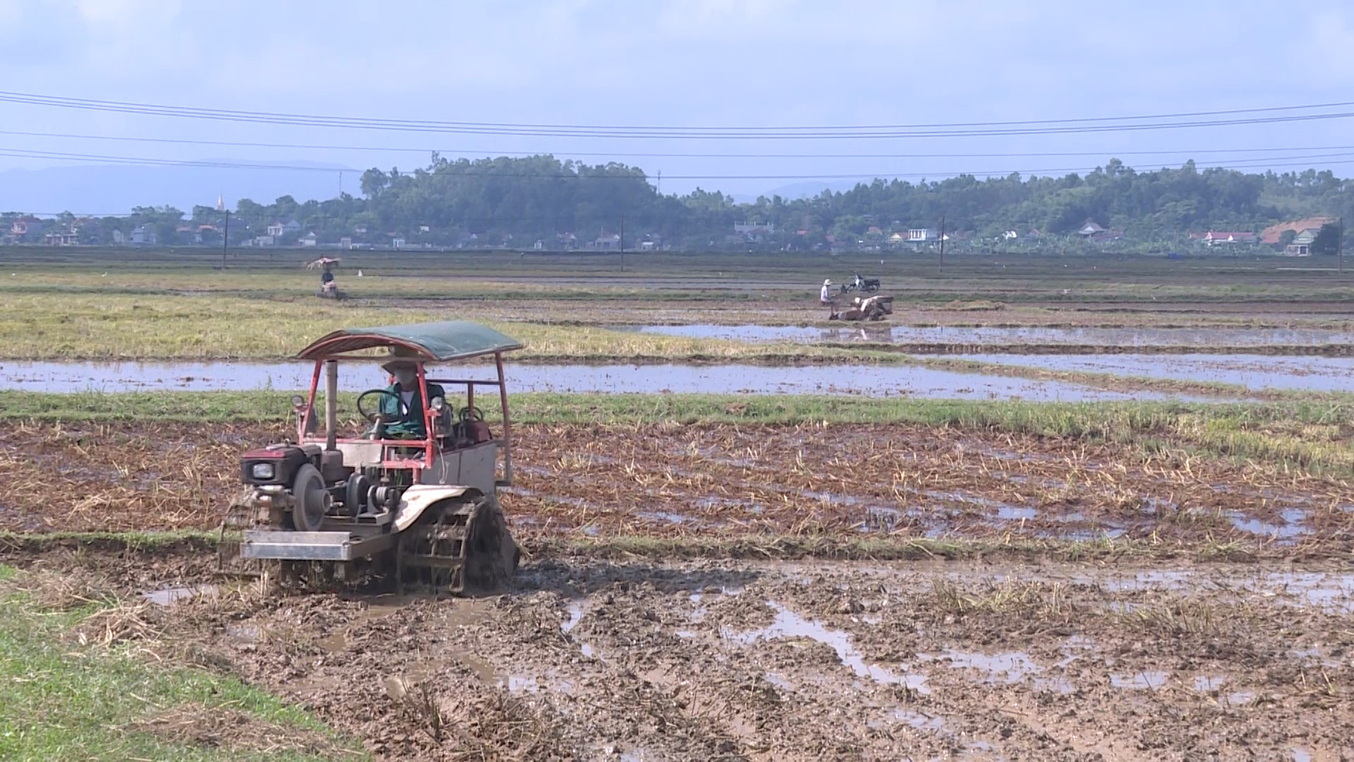 Quảng Trạch: Tập trung làm đất, xuống giống sản xuất vụ hè-thu 2023