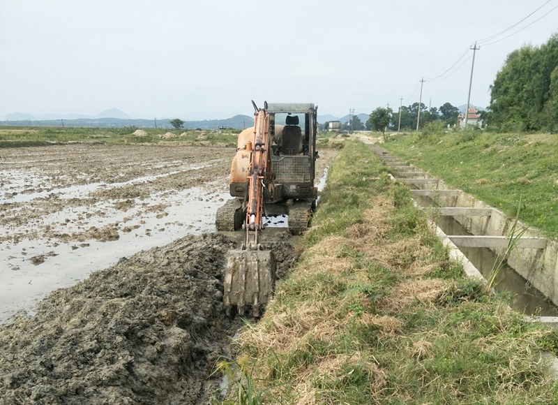 Giám đốc doanh nghiệp chỉ đạo phá hoại ruộng của Hợp tác xã?!