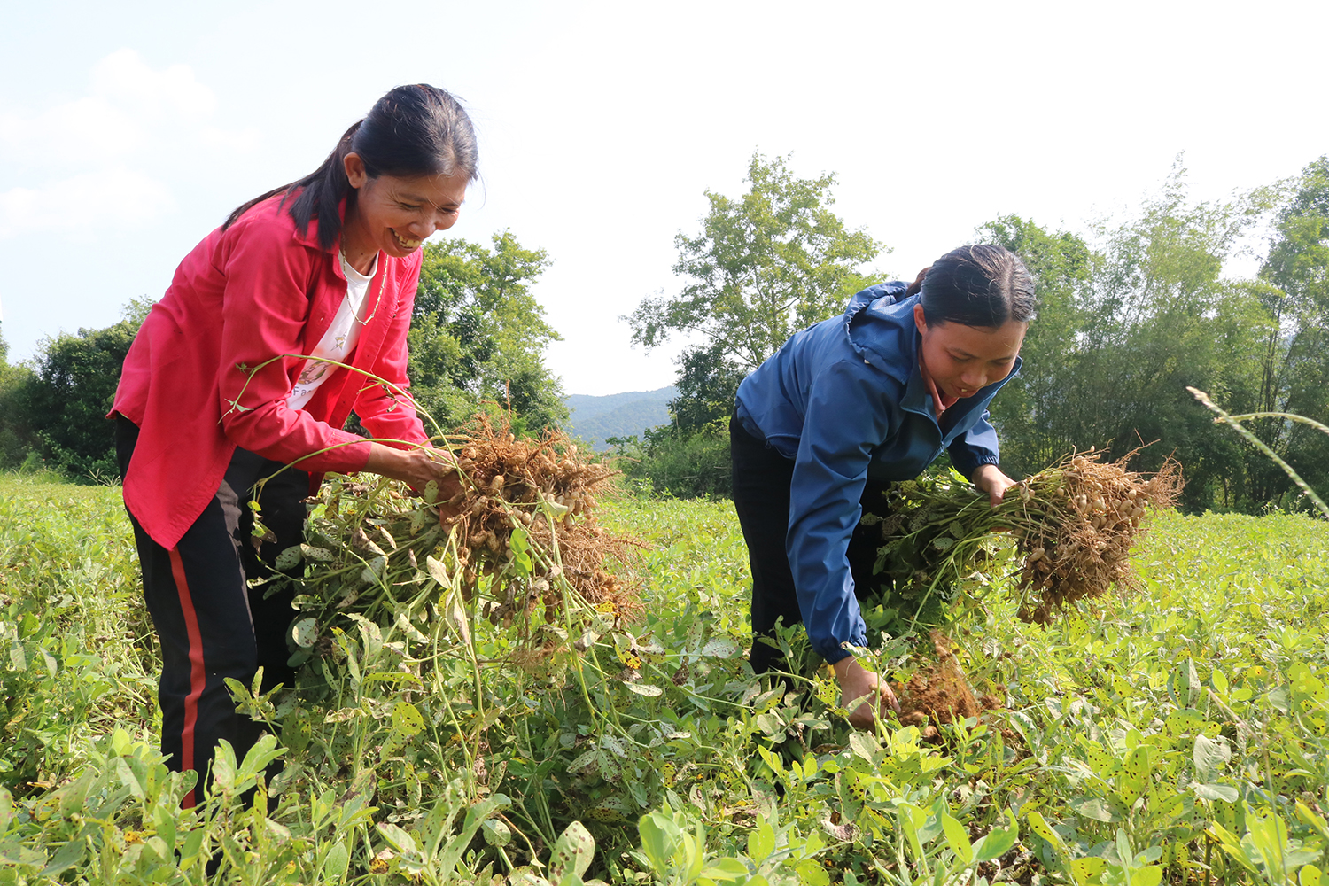 "Hạt ngọc" của đất trời…