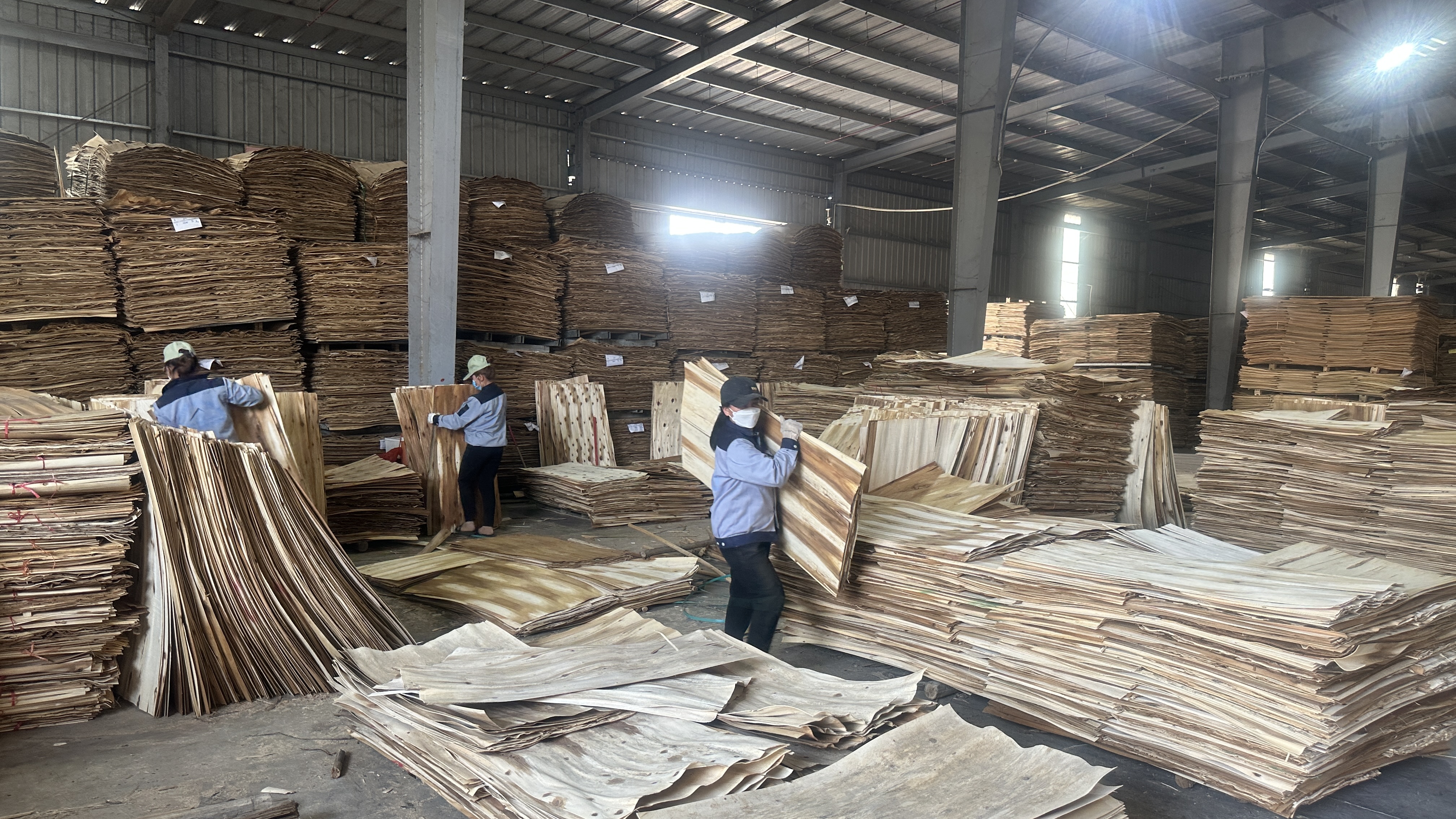Doanh nghiệp trong cơn