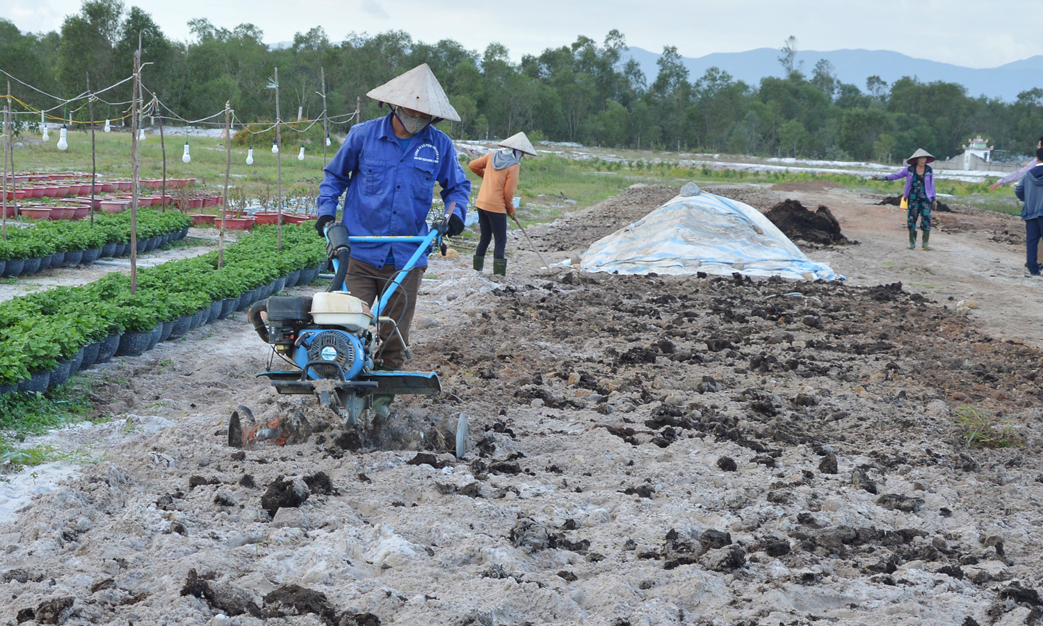 Hạn chế sử dụng phân bón, thuốc bảo vệ thực vật gây ô nhiễm môi trường