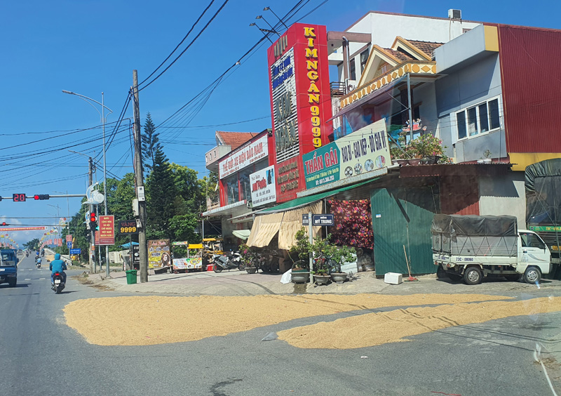 Dân vô tư phơi lúa, gây mất an toàn giao thông