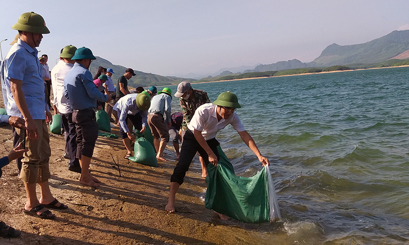 Quảng Ninh: Thả 25.000 cá giống tái tạo nguồn lợi thủy sản