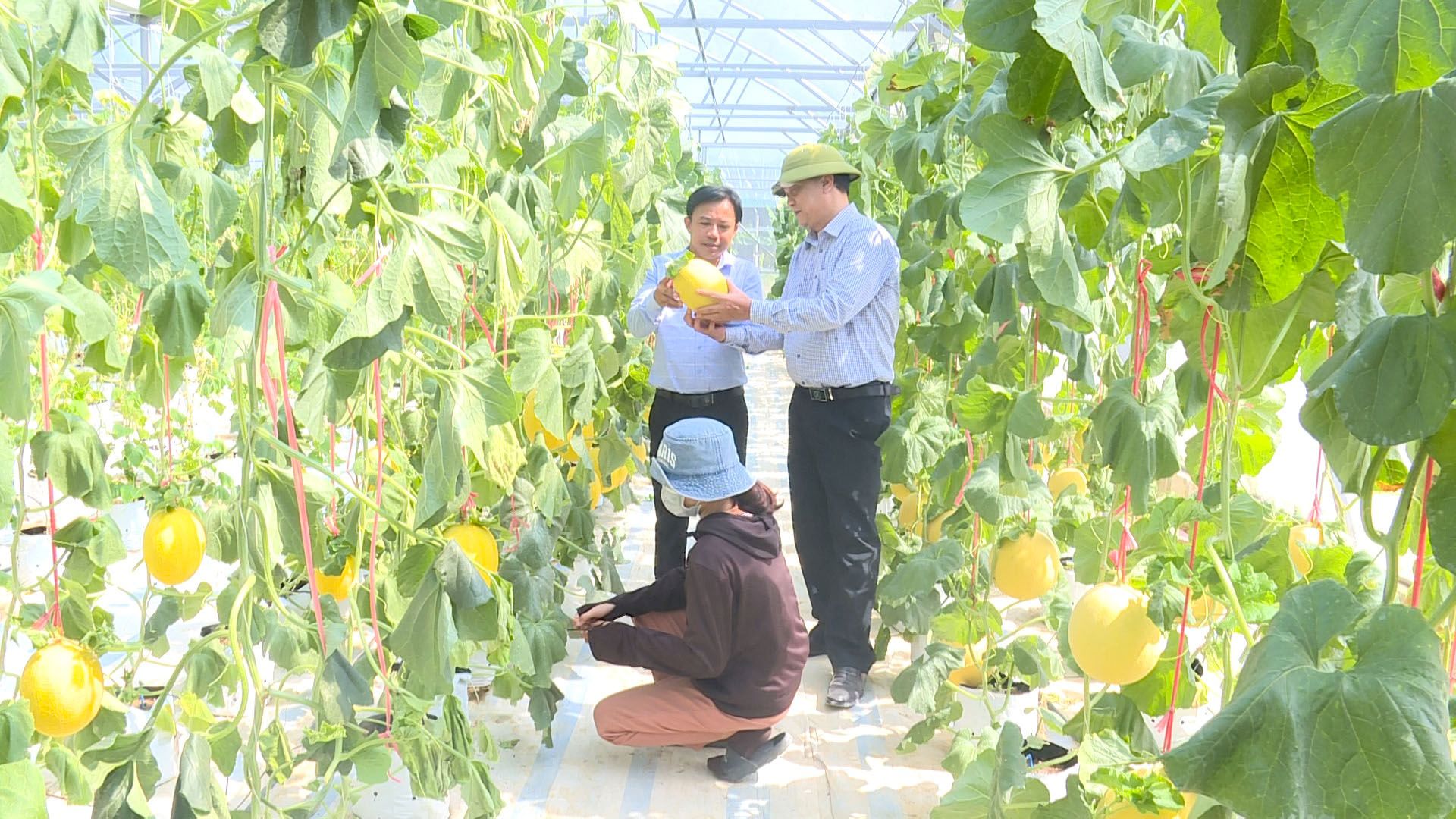 Đổi mới phương thức hoạt động, xây dựng quê hương Quảng Trạch ngày càng phát triển