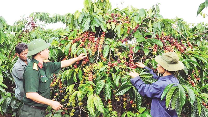 Xây dựng ngành kinh tế quân đội ngày càng phát triển