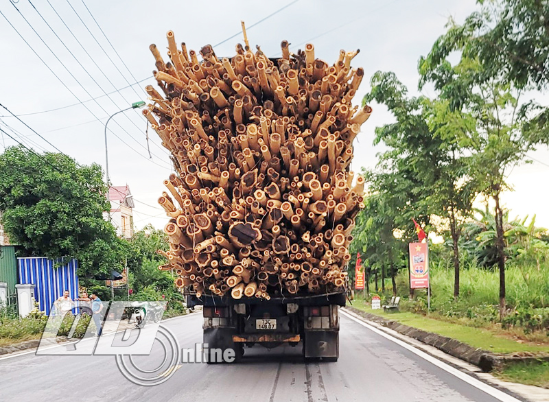 Nhiều ô tô tải chở hàng quá khổ, quá tải trên Quốc lộ 12A