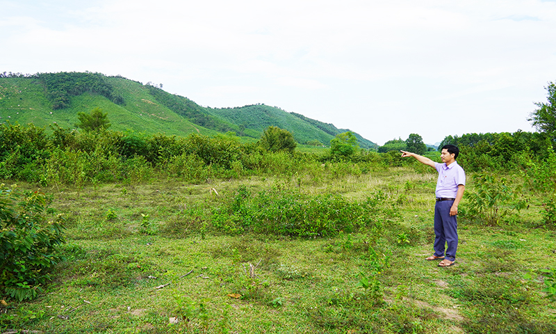 "Gỡ vướng" vùng chăn nuôi tập trung