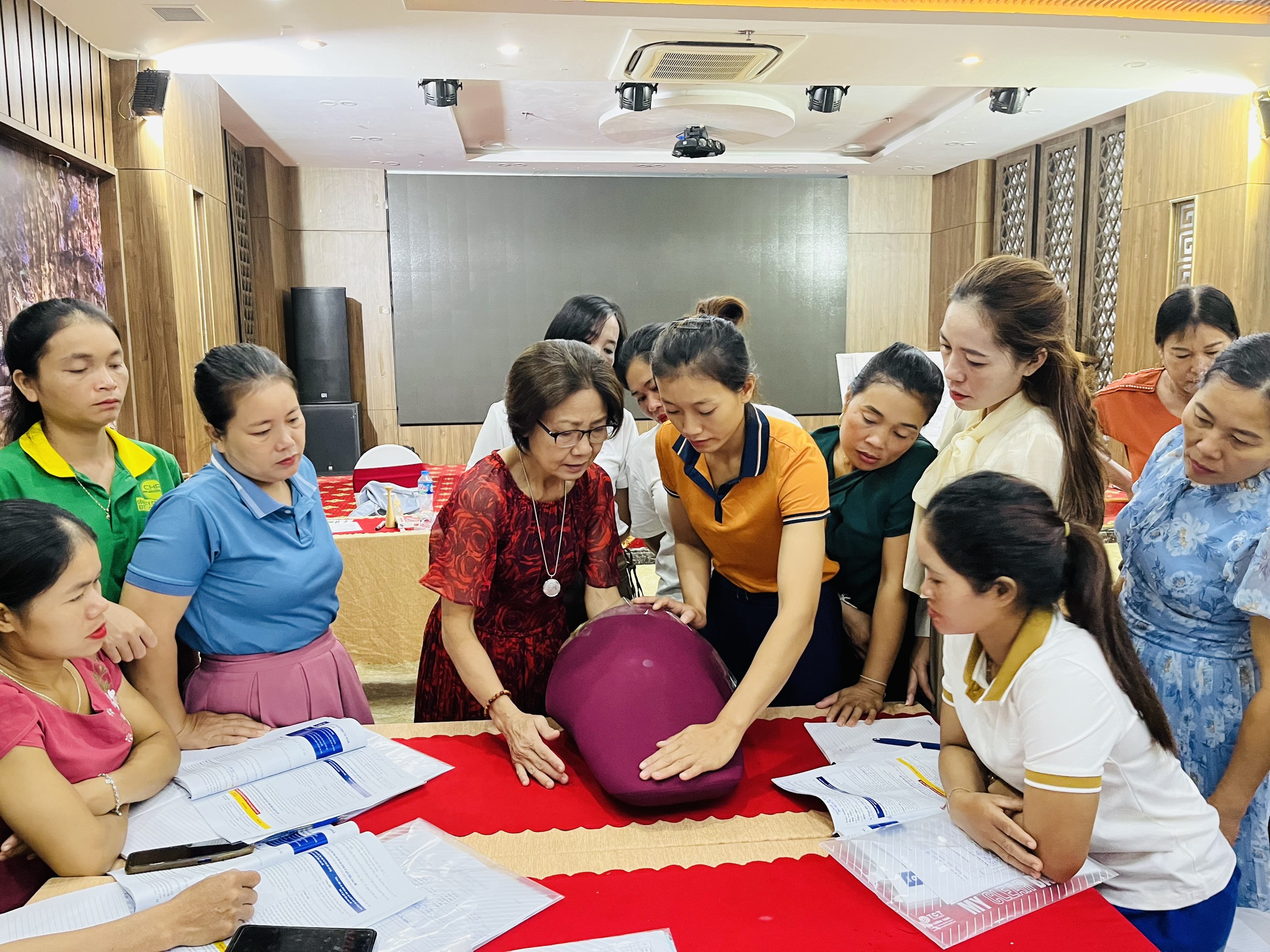 Cô đỡ thôn, bản-cánh tay nối dài của ngành Y tế: Kỳ 2: Tìm giải pháp hỗ trợ cô đỡ thôn, bản