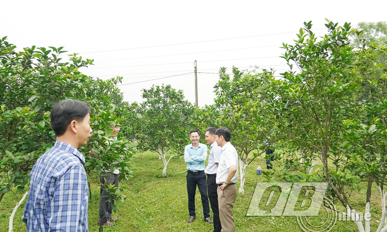 Xây dựng 72 vườn mẫu nông thôn mới và 39 khu dân cư kiểu mẫu