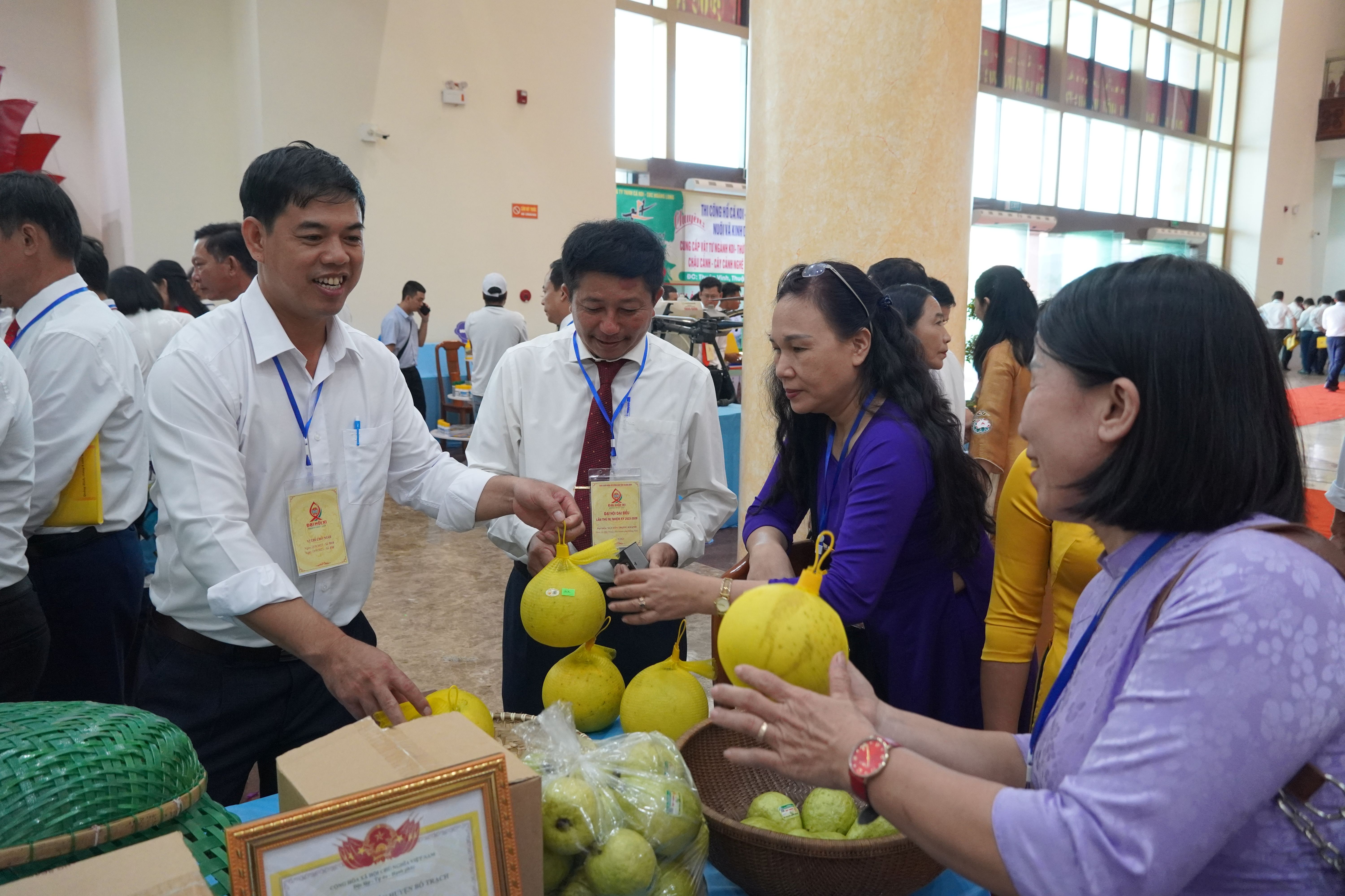 Trưng bày các sản phẩm nông nghiệp tiêu biểu của nông dân Quảng Bình