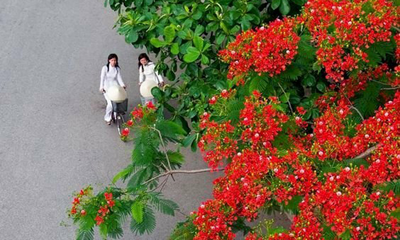 Còn mãi trong nhau