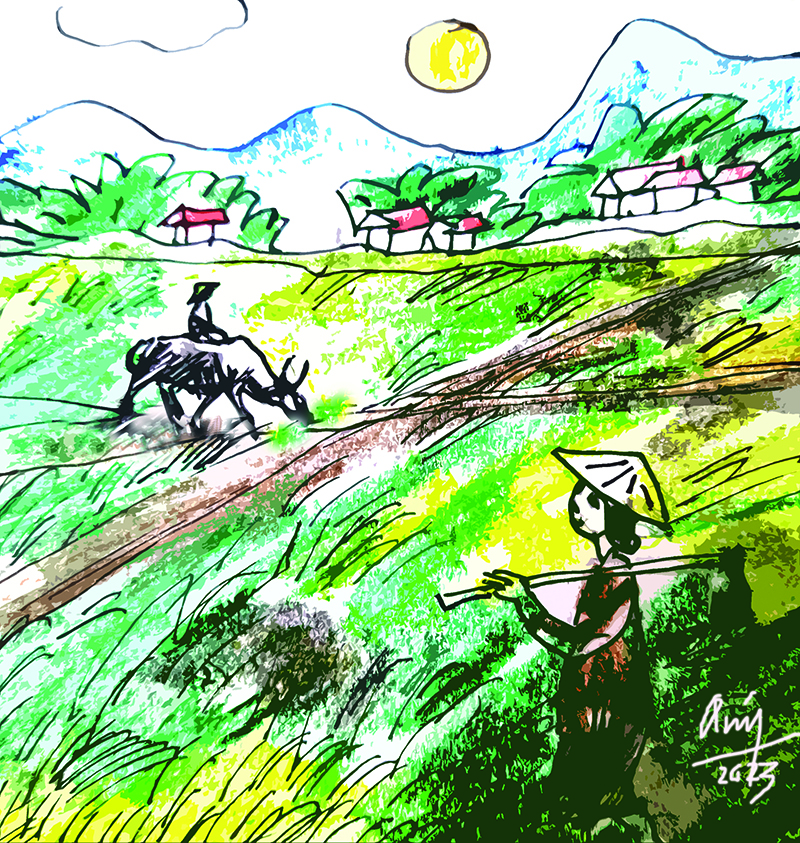 Hương lúa trổ đòng