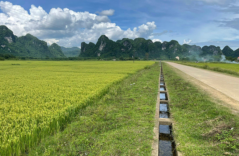 Việc sụt giảm các tiêu chí nông thôn mới do bộ tiêu chí mới đặt ra chỉ tiêu cao hơn