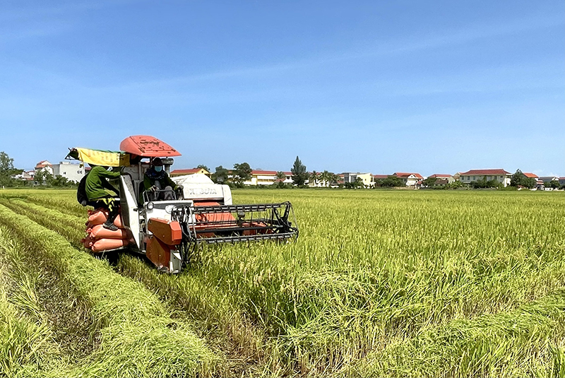 Tập trung gỡ khó, bảo đảm sản xuất nông nghiệp
