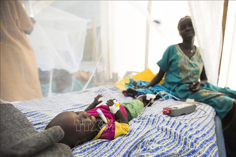 Liên hợp quốc: Thêm hàng nghìn ca nghi mắc bệnh tả tại Sudan