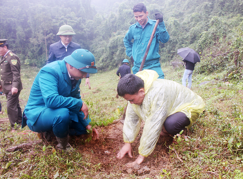 Xử lý vi phạm phá rừng, lấn, chiếm đất lâm nghiệp ở Tuyên Hóa: Kiên quyết không để dây dưa, kéo dài