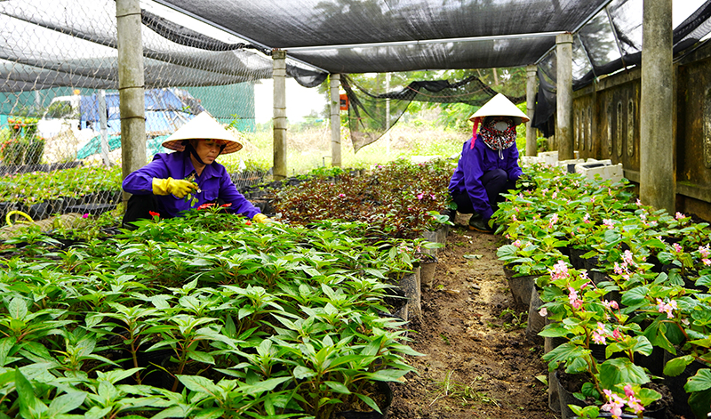 Bố Trạch: Chú trọng chỉnh trang đô thị, vệ sinh môi trường