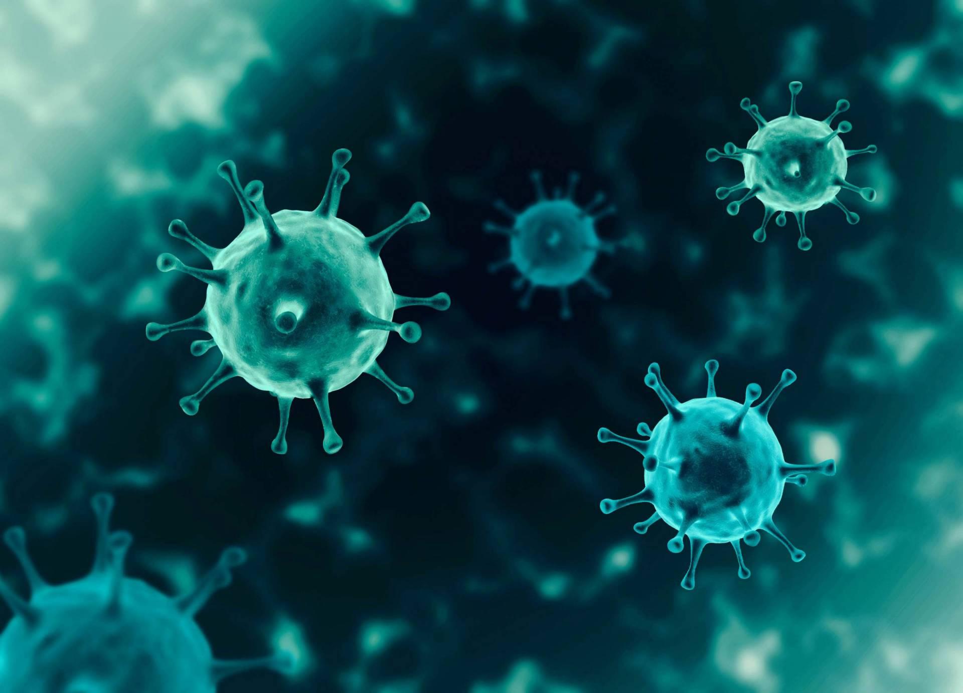 Bộ Y tế thông tin về biến thể JN.1 của virus SARS-CoV-2 gia tăng nhanh