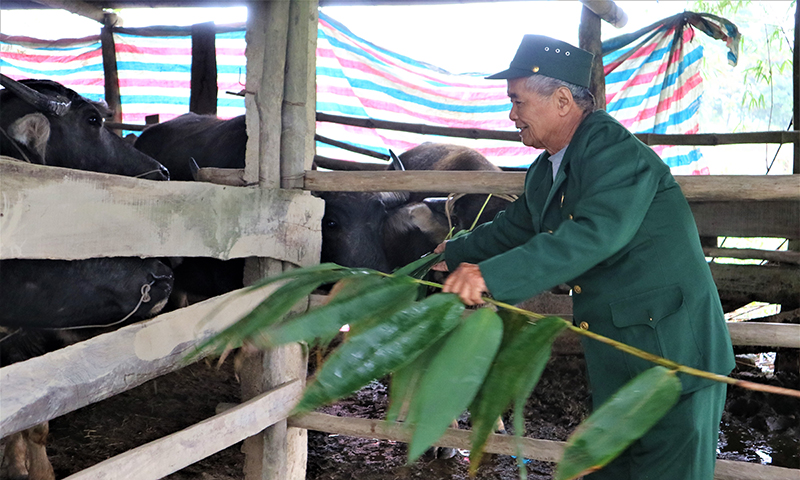 "Cầu nối" nguồn vốn ủy thác cho người nghèo