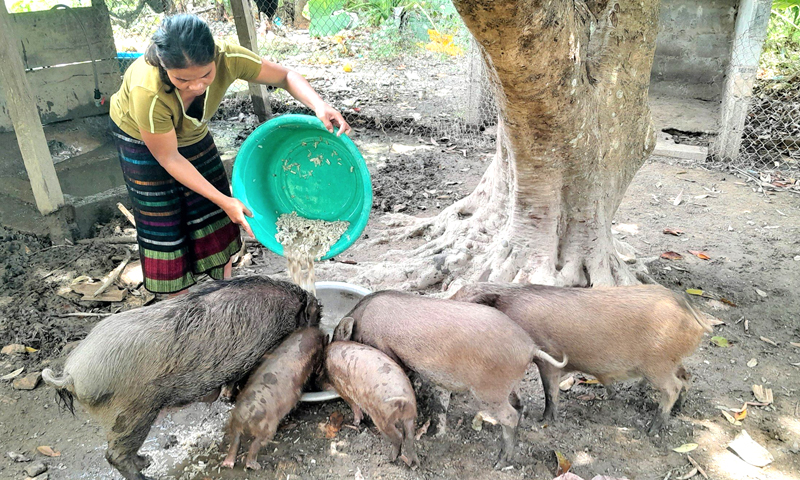 "Điểm tựa" cho người khuyết tật