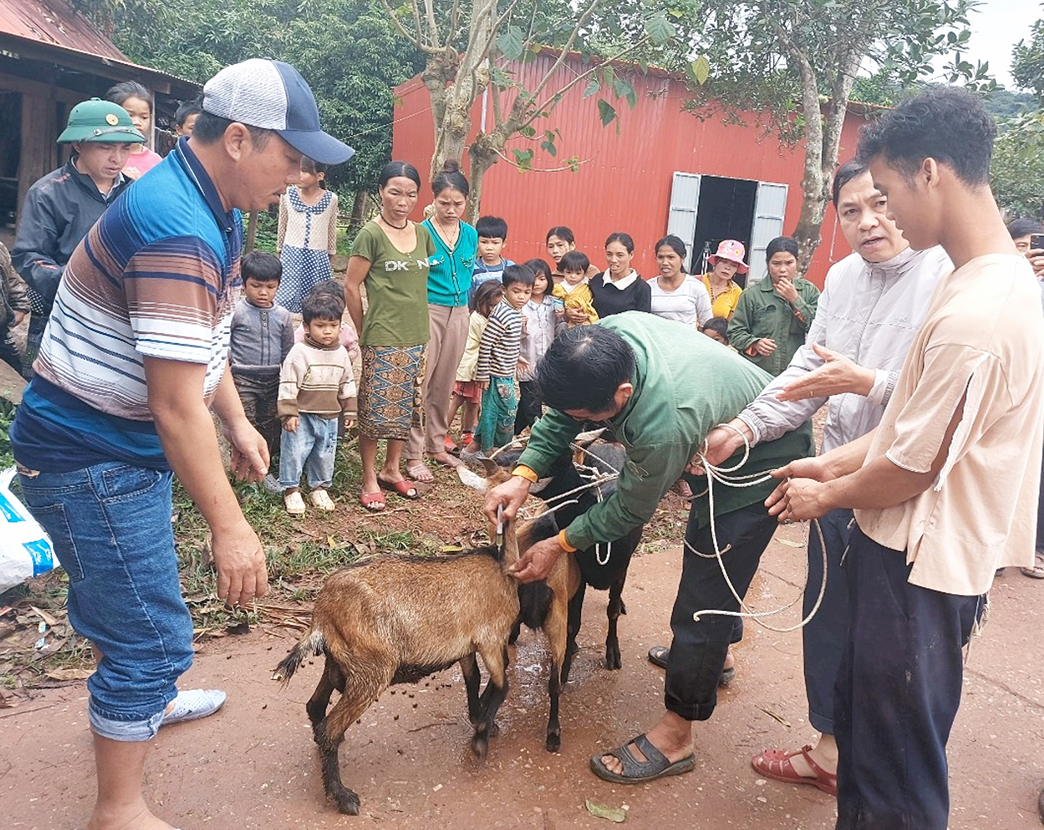 Đa dạng hóa sinh kế, phát triển mô hình giảm nghèo