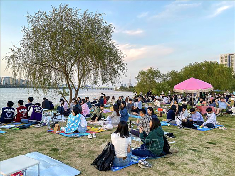 Hàn Quốc ghi nhận nhiệt độ buổi sáng tháng 2 ấm chưa từng thấy