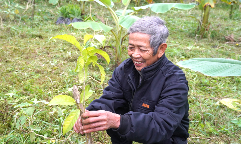 Vì màu xanh quê hương