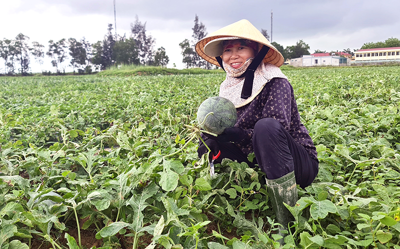 Kỳ vọng năm mới