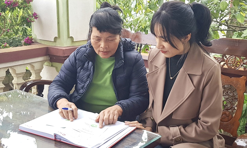 Bà Loan "bảo hiểm"