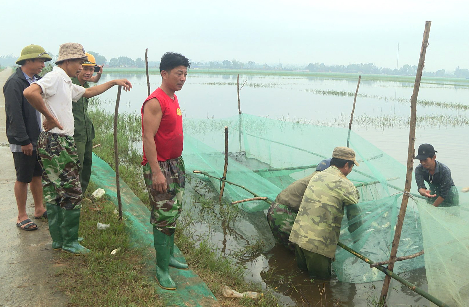 Lệ Thủy: Tổng sản lượng thủy sản đạt hơn 1.335 tấn