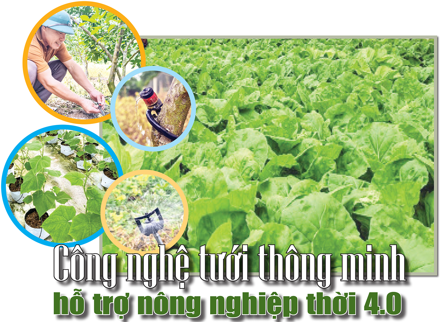 Công nghệ tưới thông minh hỗ trợ nông nghiệp thời 4.0