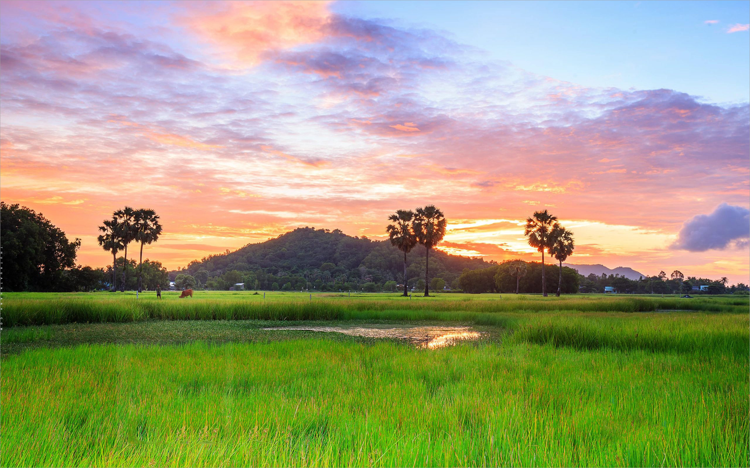 Lắng nghe tiếng chảy quê nhà