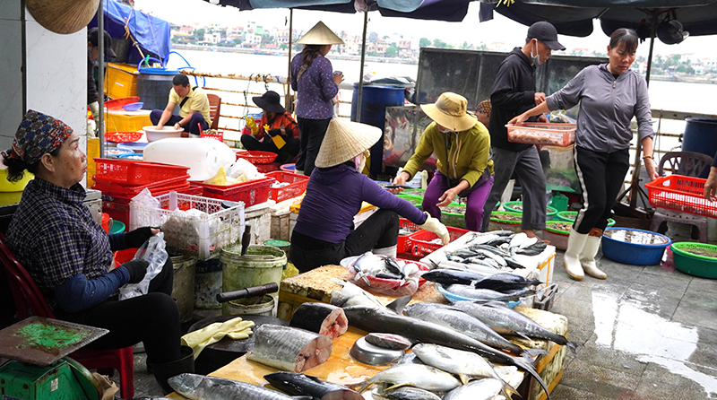 Tổng sản lượng thủy sản đạt trên 2.800 tấn