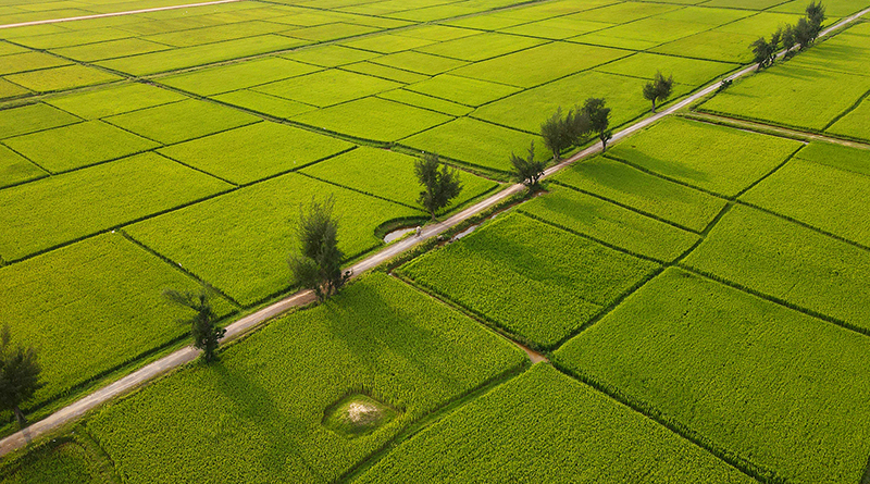 Quảng Bình muôn vẻ