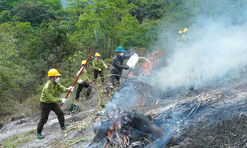 Vườn Quốc gia Phong Nha-Kẻ Bàng: Thành lập 50 tổ phòng cháy, chữa cháy rừng
