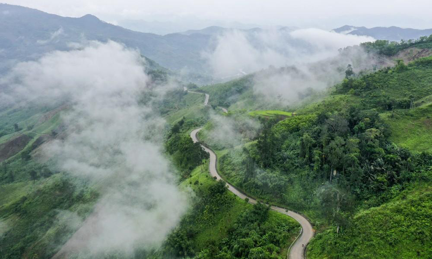 Minh triết con đường!