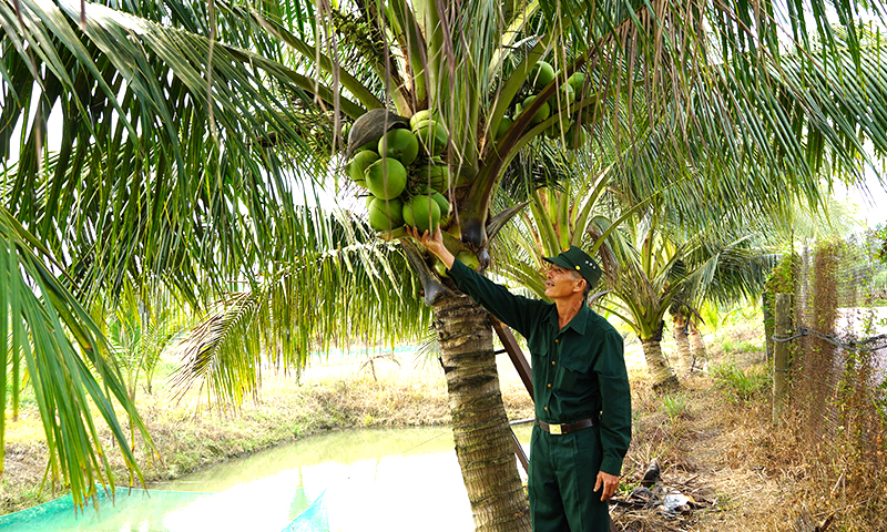 Nặng sâu nghĩa tình đồng đội