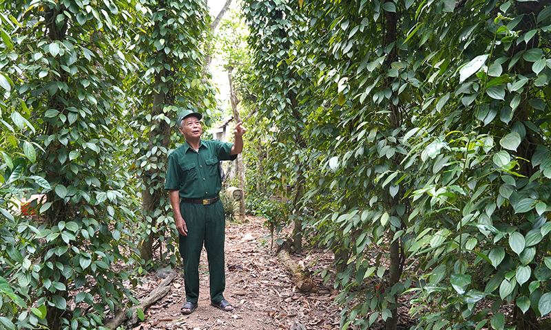 Vẹn nguyên ký ức ngày toàn thắng