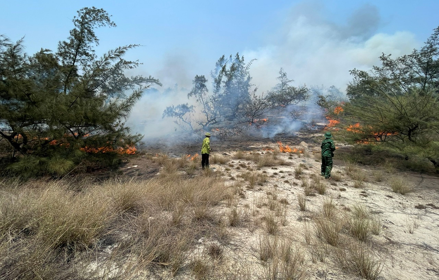 Quảng Ninh: Cháy rừng phòng hộ ven biển ở Hải Ninh
