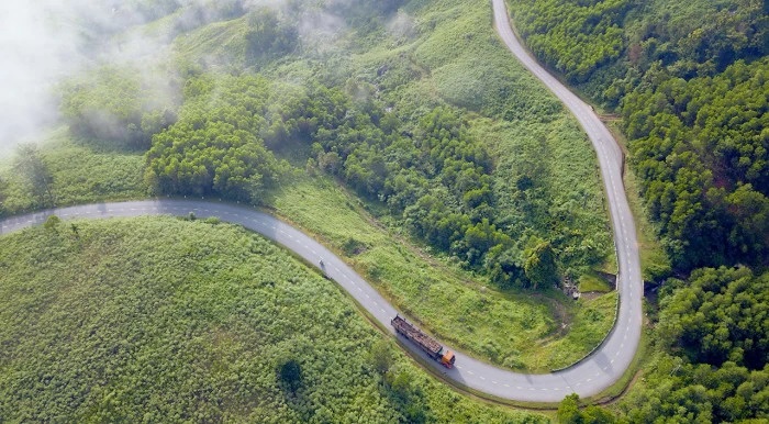 Đòn gánh tre và con đường tiếp vận